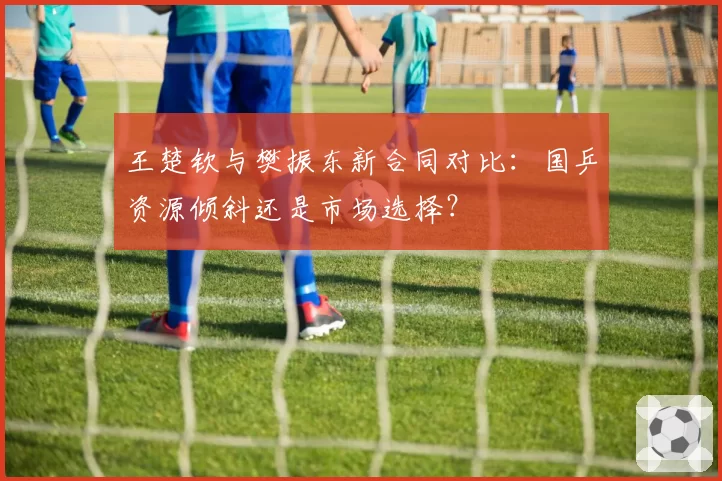 王楚钦与樊振东新合同对比：国乒资源倾斜还是市场选择？